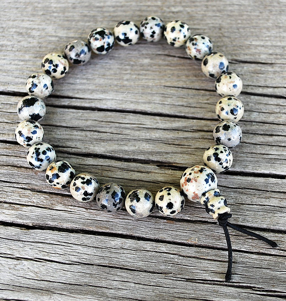 dalmation jasper mala brace